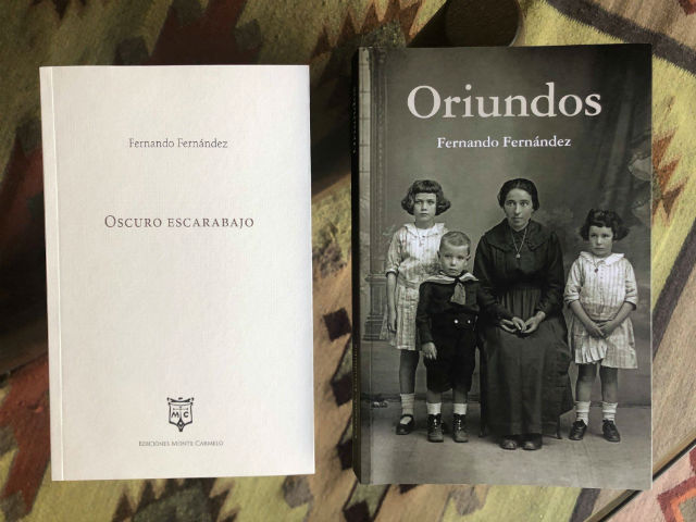 Los libros de Fernández