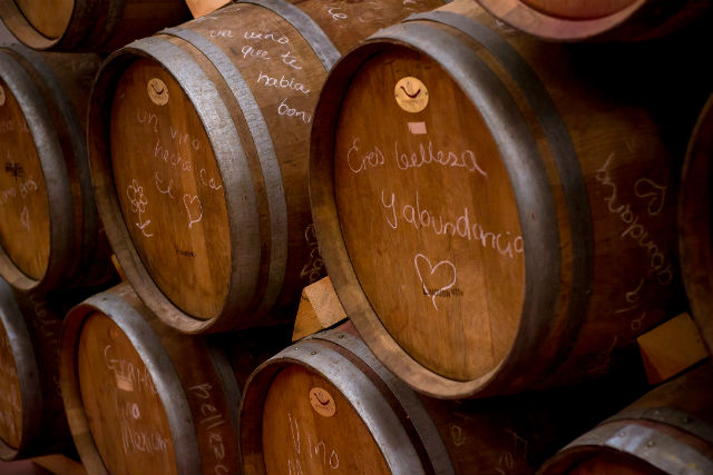 Fabiola de la Fuente