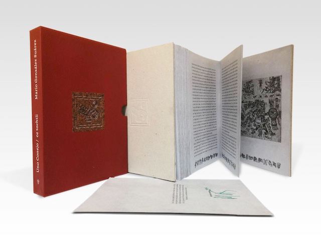 Mario González Suárez