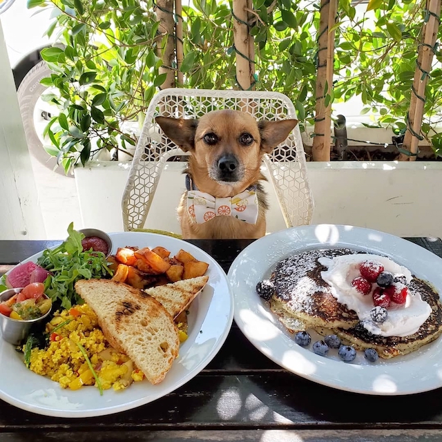 Restaurantes de músicos famosos en Los Angeles