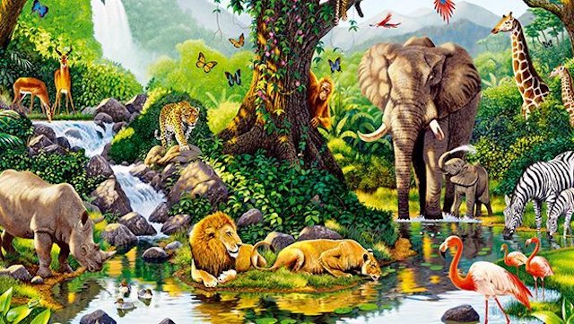 El aire y la naturaleza