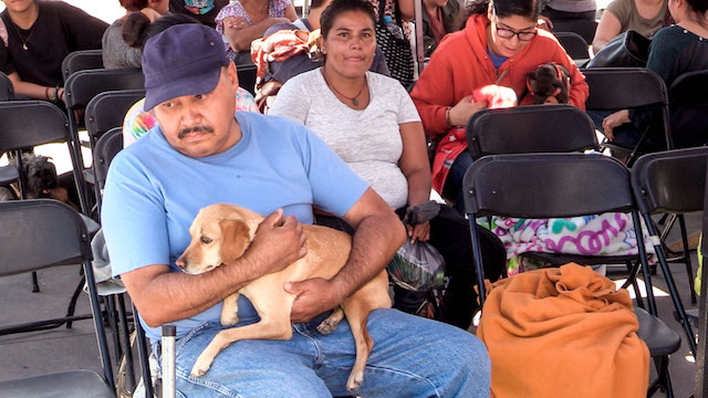 Animales en Guanajuato