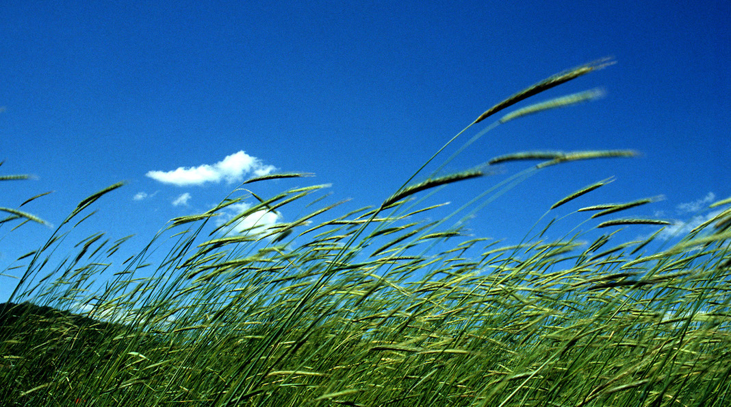 El aire y la naturaleza
