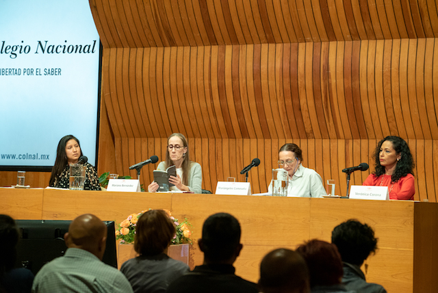 Minerva Margarita Villarreal