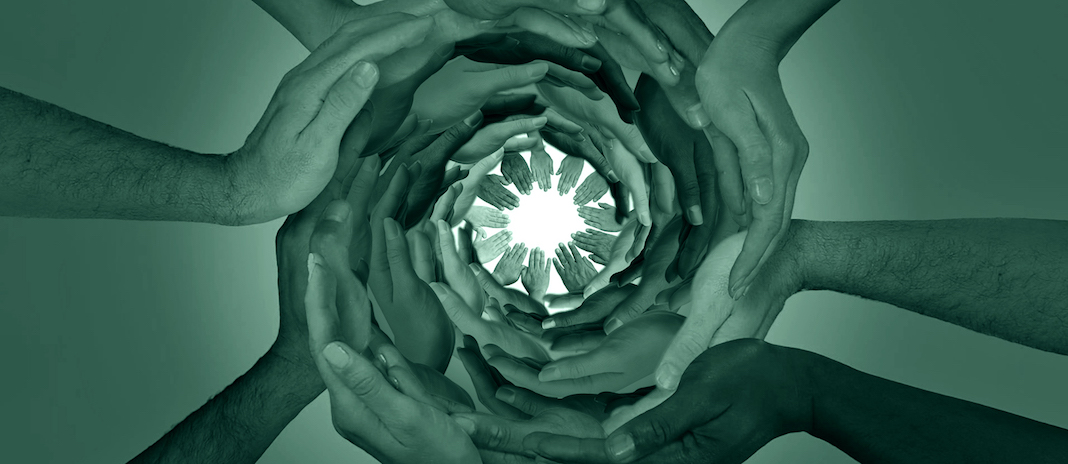 Manuscritos Cd Reptil