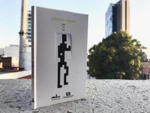 Los 11 libros de poesía