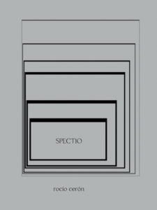 Los 11 libros de poesía