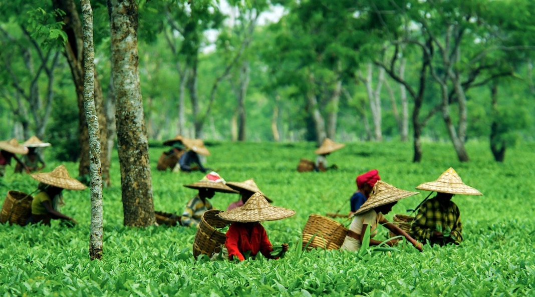 Destinos menos masificados de la India