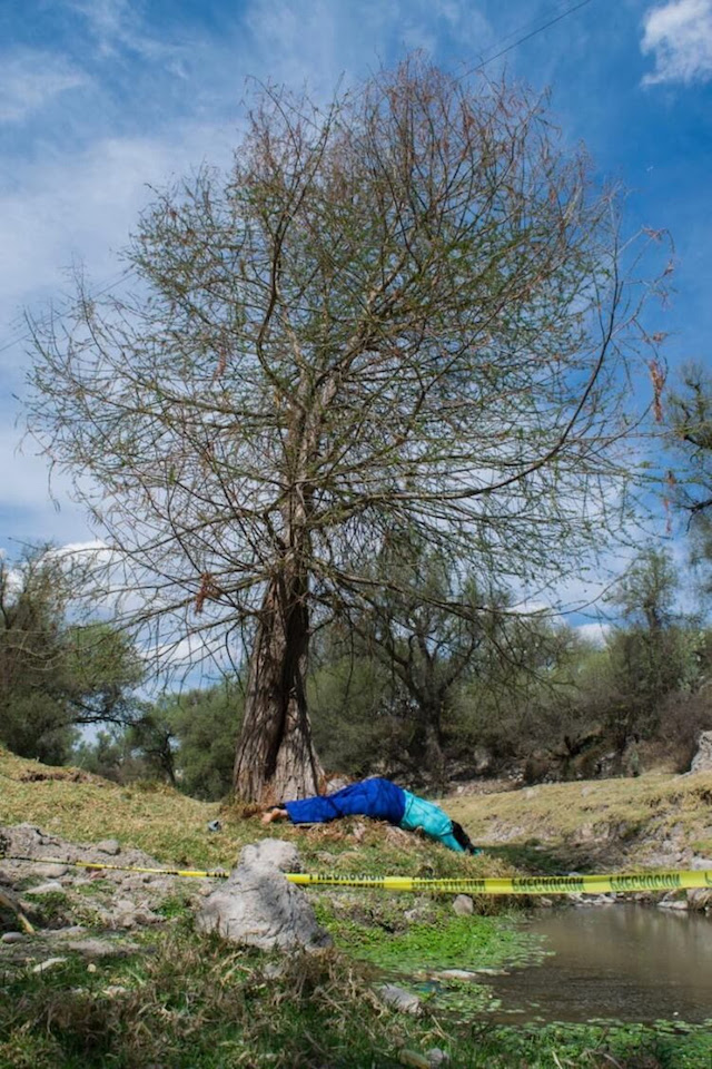 Mujeres y su visión