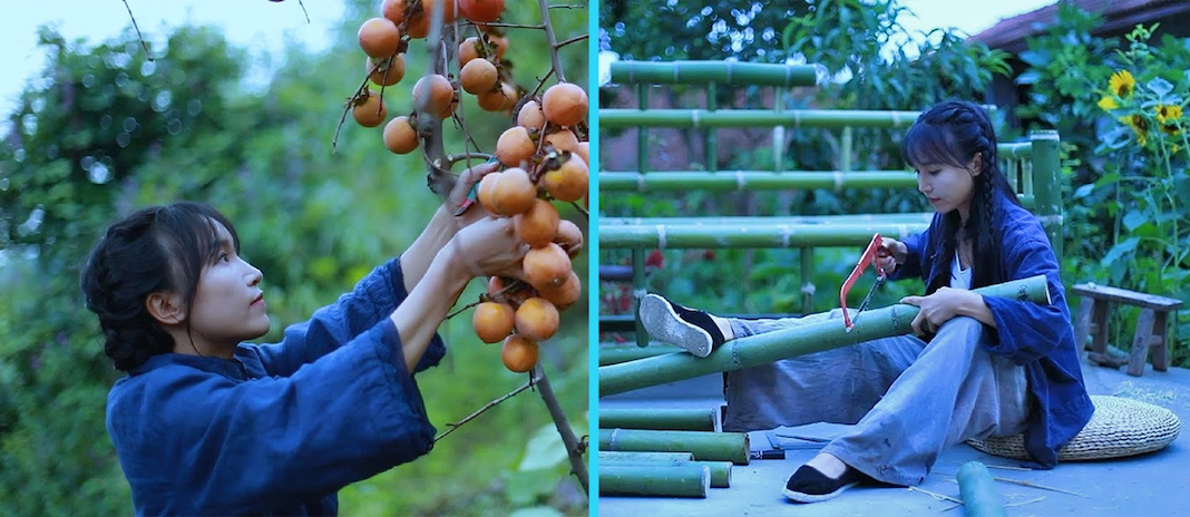 MANUSCRITOS DE LA CIUDAD REPTIL