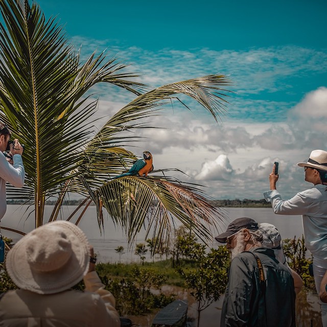 The Jungles Experiences