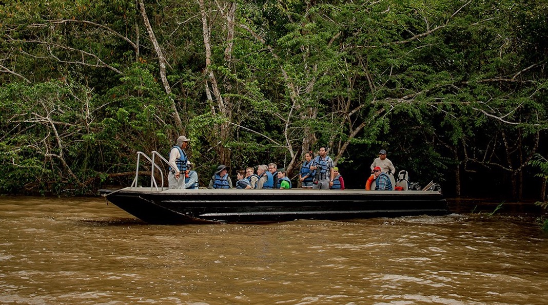 The Jungles Experiences