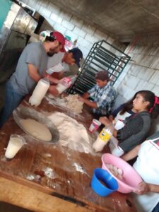 El maguey y el pulque