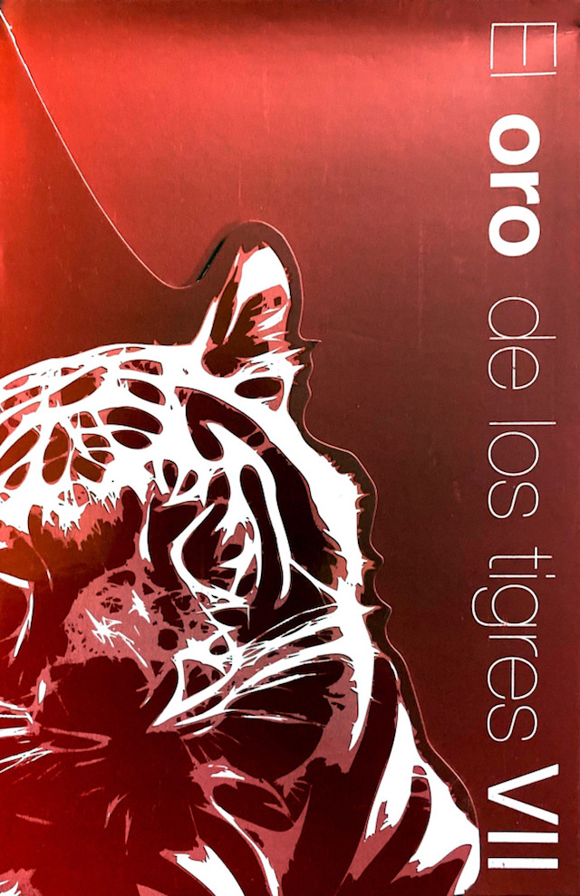 Minerva Margarita Villarreal