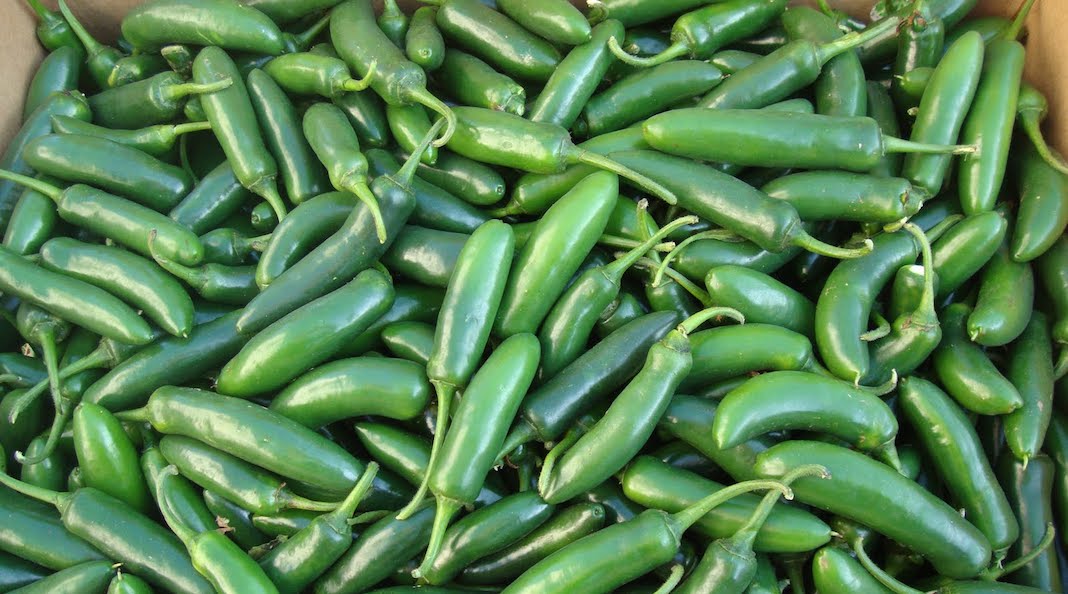 Chile serrano