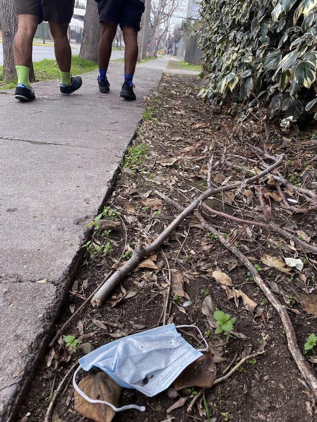 "Los abanicos de Acario"