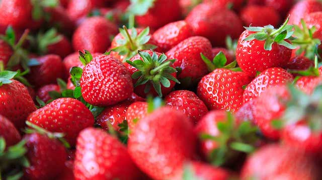 Metco Recetas saludables