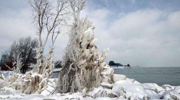 Las lecciones del frío