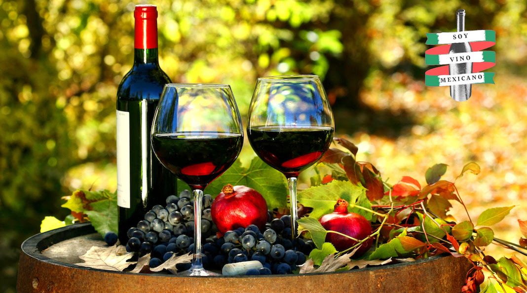 Soy vino mexicano