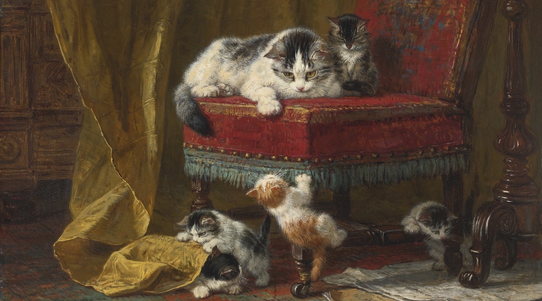 Los gatos de Henriëtte Knip