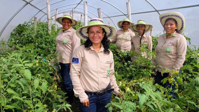  Mujeres trabajadoras