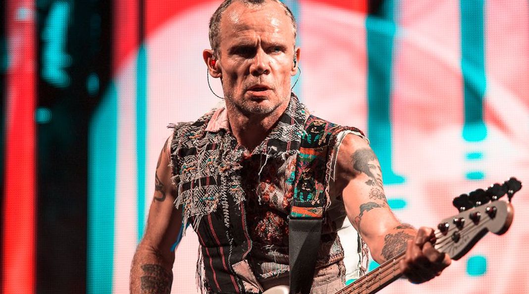 Flea