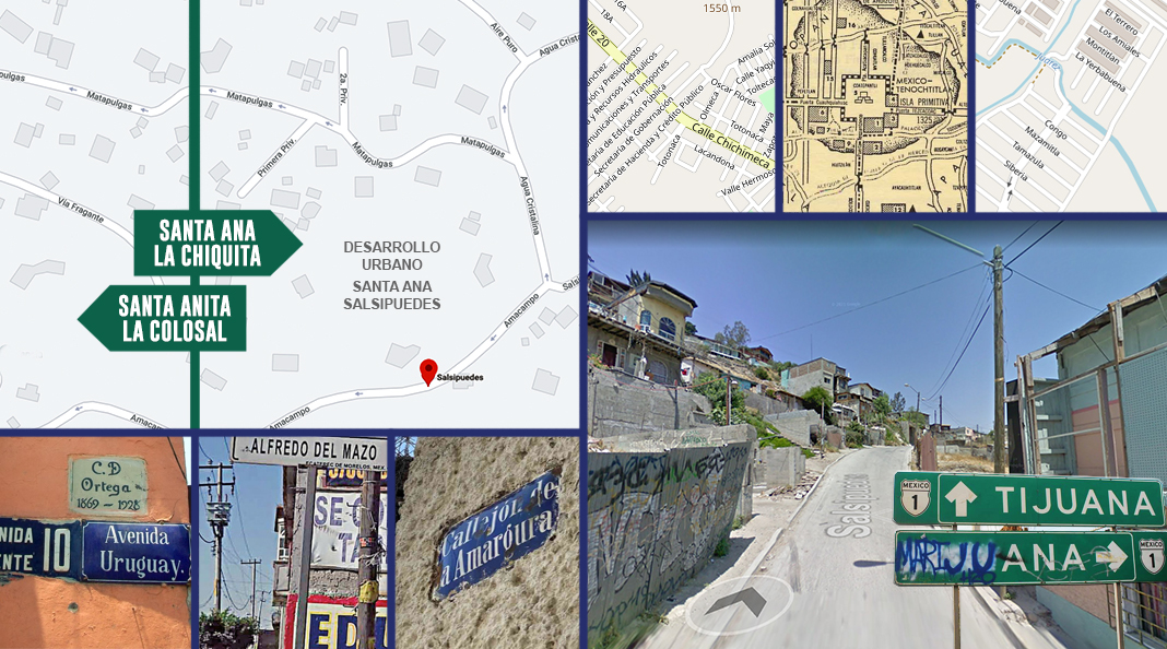 Manuscritos de la ciudad reptil