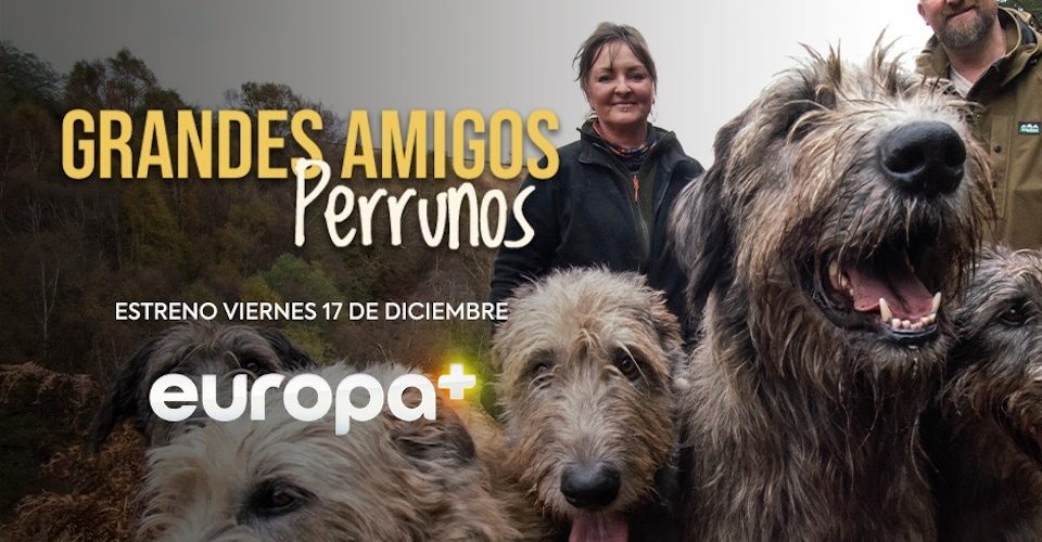 Grandes amigos perrunos