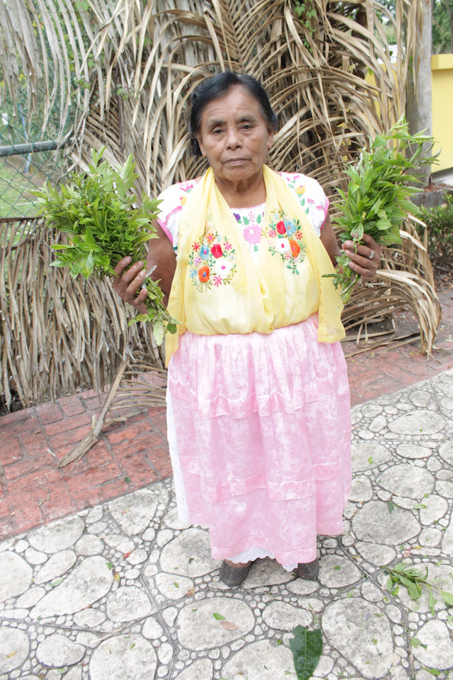 Medicina ritual en Veracruz