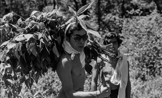 Yo estuve en Avándaro