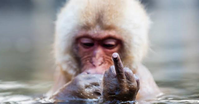 Que la ciencia te acompañe