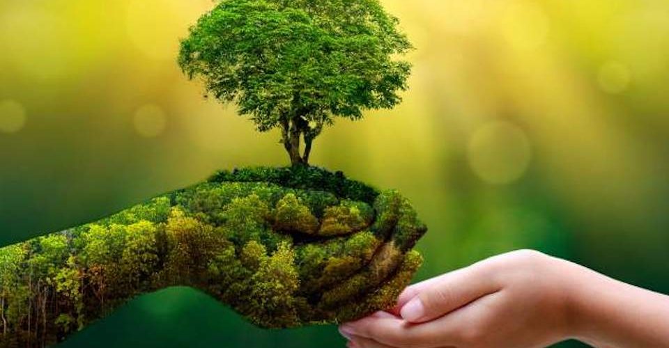 Día Mundial de la Tierra