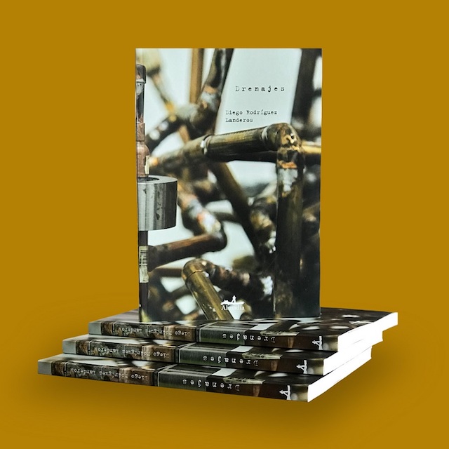 Diego Rodríguez Landeros