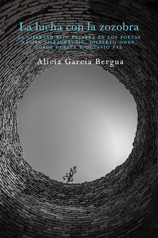 Alicia García Bergua