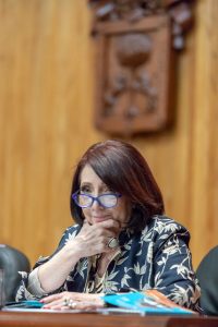 Marisol Shulz Manaut