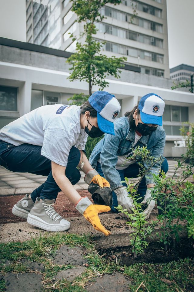 Cero emisiones netas