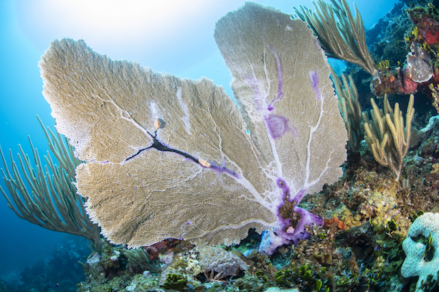  Parque Nacional Protegido