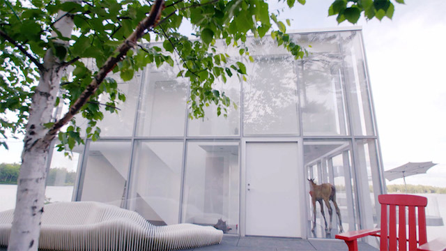 Colin McAllister y Justin Ryan