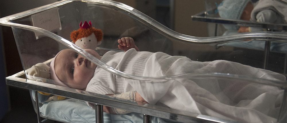 La única superviviente