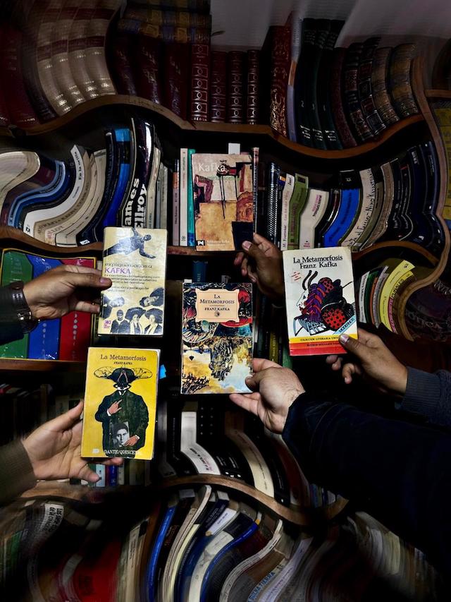 Las transformaciones de Gregorio Samsa