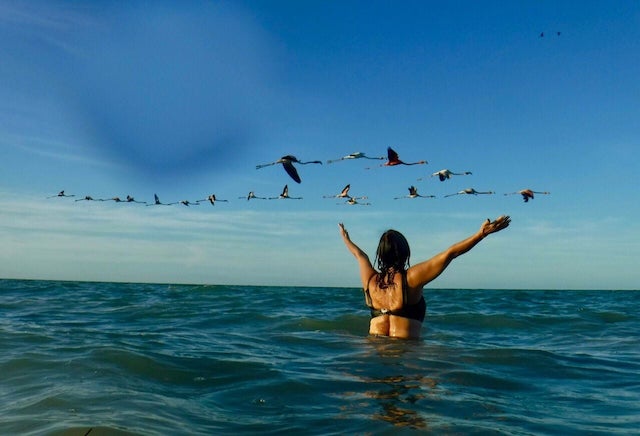 Dionisio sin maletas