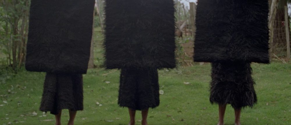 Formas de atravesar un territorio