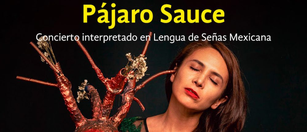 Pájaro Sauce