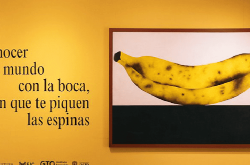 Conocer el mundo con la boca, sin que te piquen las espinas