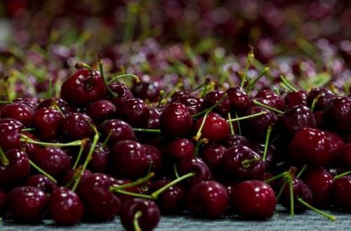 Cerezas del noroeste