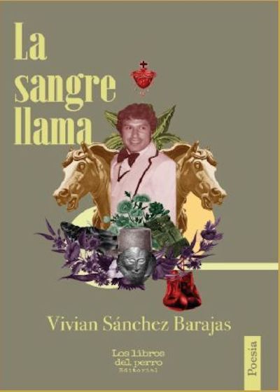 Vivian Sánchez Barajas