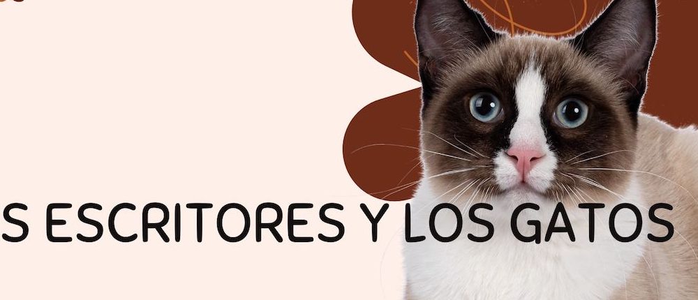Los escritores y los gatos